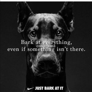 Meet your Posher, Lorenzo